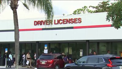 TSA enforcement of REAL ID begins today. How to update your Florida driver's license