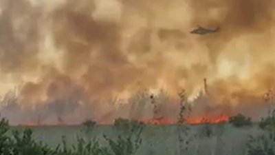 Roads closed in Miami-Dade due to brush fire