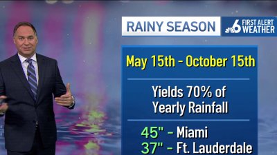 South Florida rainy season: How much rain do we usually get?