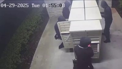3 arrested in Doral mail theft caught on video