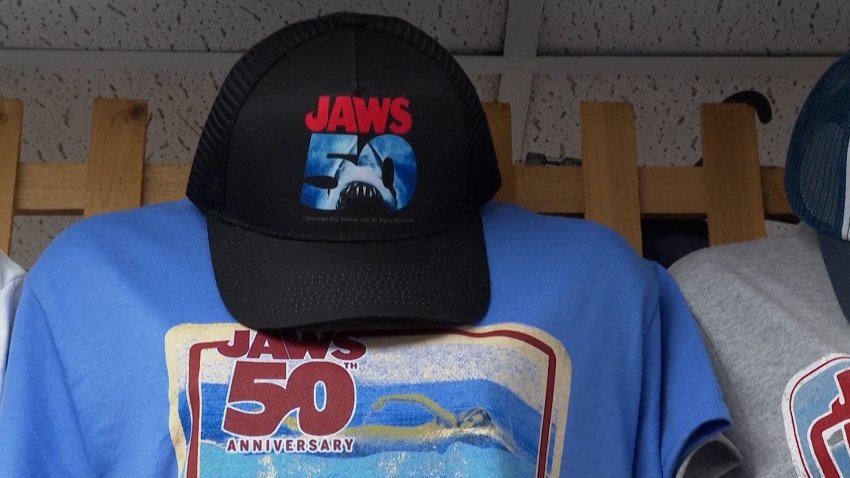 Man aims to become first person to swim around Martha's Vineyard on 50th anniversary of ‘Jaws'