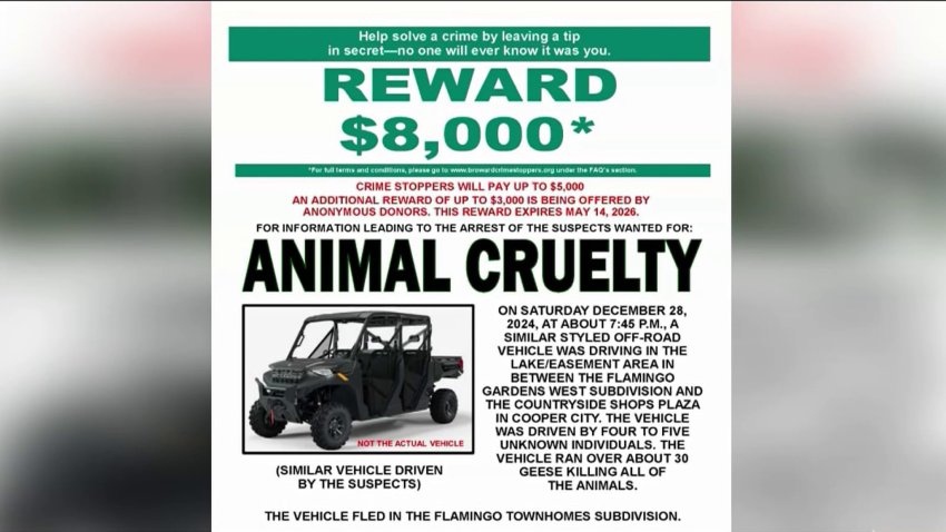 Reward increases in killing of 30 geese in Cooper City