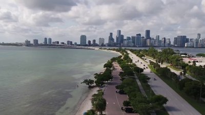 NBC6 Impact: City of Miami District 4 Special Election Set for June 3