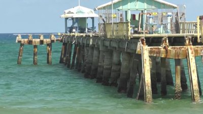 Woman possibly bitten by barracuda in Lauderdale-by-the-Sea
