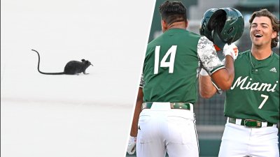 Panthers' rat tradition, NCAA baseball regionals, the best of track and field meet in Jacksonville
