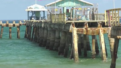 911 calls capture chaos after woman bitten by possible barracuda in Lauderdale-by-the-Sea