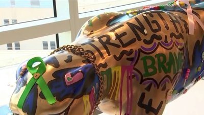 Panthers fundraiser helps support cancer research