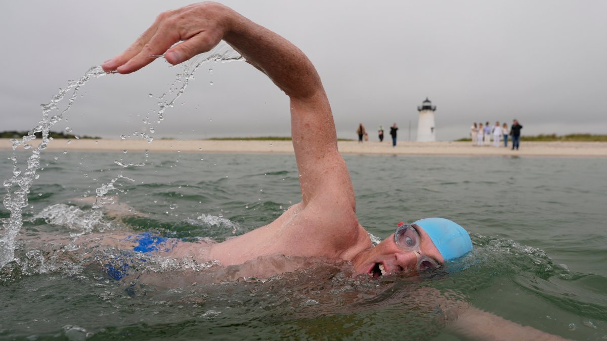 Endurance swimmer nearly done circling Martha's Vineyard ahead of 'Jaws' 50th anniversary Endurance swimmer nearly done circling Martha's Vineyard ahead of 'Jaws' 50th anniversary
