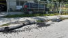 Coconut Grove Playhouse construction site vandalized, commissioners say