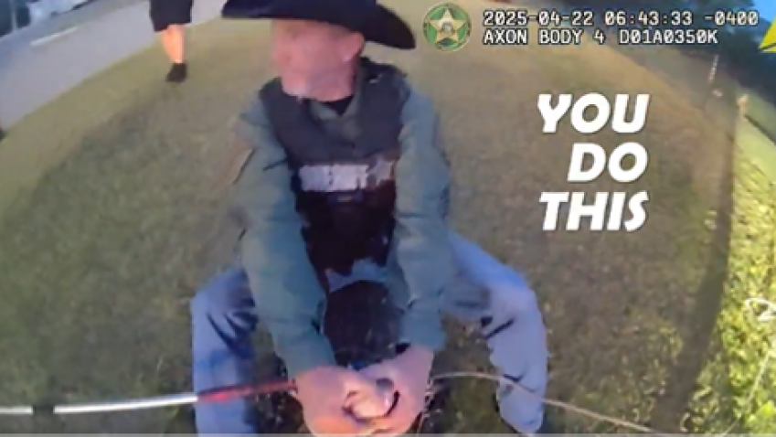 Dramatic video shows how authorities in Manatee County wrangled and “expelled” an alligator from a high school campus—in style.