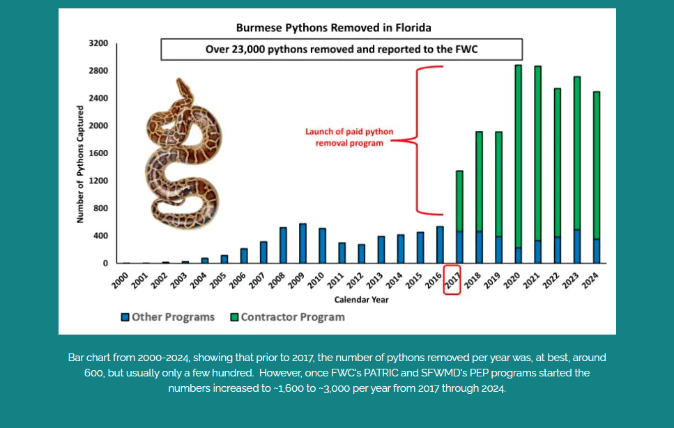 Registration opens for 2025 Florida Python Challenge: What to know ...