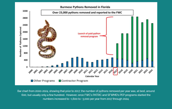 2025 Florida Python Challenge starts today: What to know – NBC 6 South ...