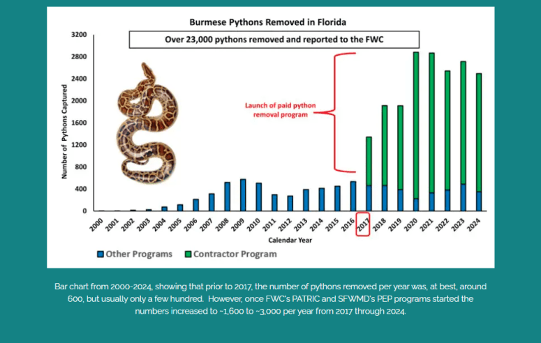 Registration opens for 2026 Florida Python Challenge – NBC 6 South Florida
