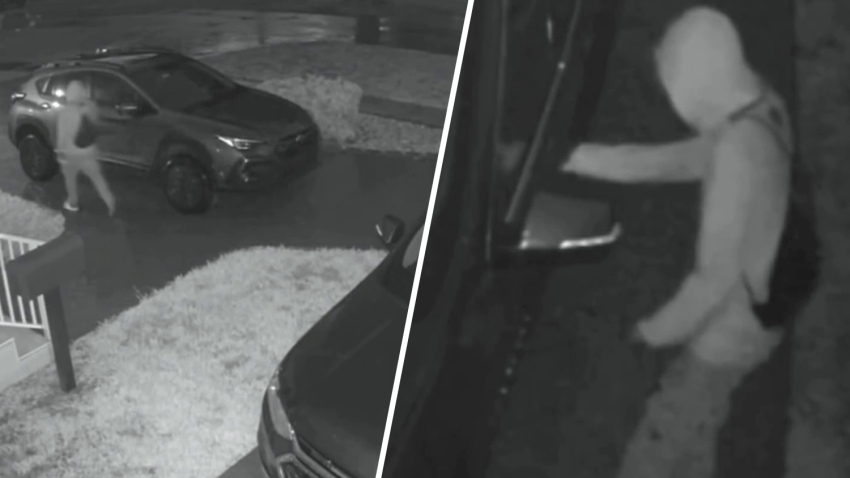 Authorities said the series of “car hopping” incidents happened between 2 and 3 a.m. from the 1000 to 1200 block of Wren and Plover avenues.