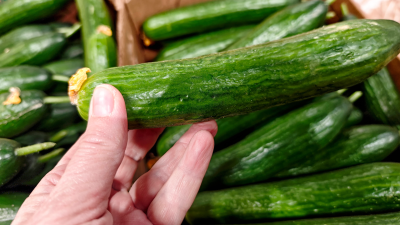 FDA recalls cucumbers over salmonella concerns: ‘Do not eat, sell, or serve'
