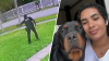 Surveillance video shows Miami Gardens officer shooting dog several times