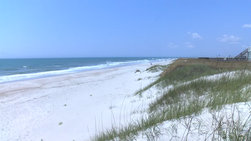 Grassy dunes on North Carolina beach