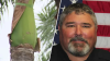 Years after falling frond killed motorman, palm tree belts installed in Pembroke Pines