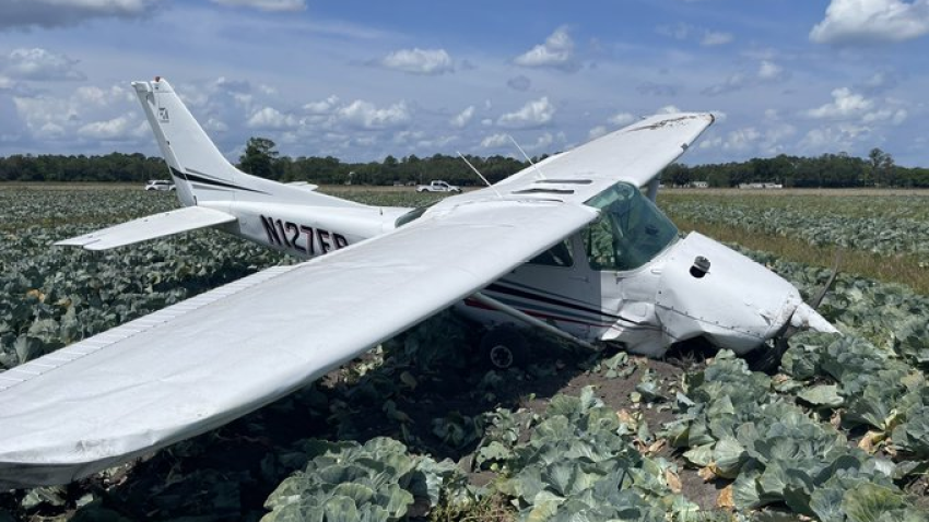 The single-cab plane crash happened in the afternoon, when the aircraft fell into a field in Hastings, about 50 miles south of Jacksonville.