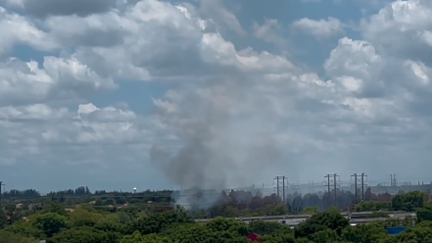 A wildfire is burning in Southwest Miami-Dade on Wednesday.