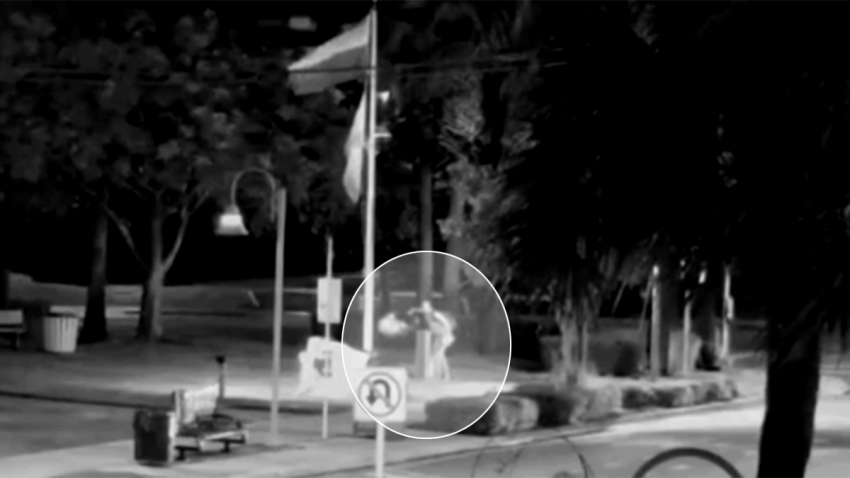 Police are searching for a suspect who stole a manatee statue from Justin Flippen Park in Wilton Manors.