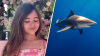 Girl, 9, has her hand ‘torn mostly off' in shark attack in Florida