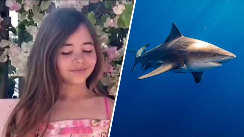 Leah Lendel was injured in a shark attack in Florida.