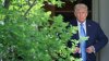Trump says Elon Musk will face ‘serious consequences' if he backs Democratic candidates