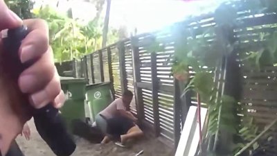 Video shows frantic moments after animal care worker mauled by dog in Fort Lauderdale