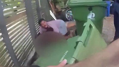 Video shows frantic moments after animal care worker mauled by dog in Fort Lauderdale