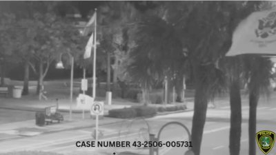 Video shows skateboarder knocking over and stealing manatee statue from Wilton Manors park