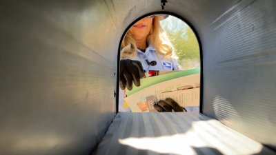 Dog attacks on postal workers reach 7-year high