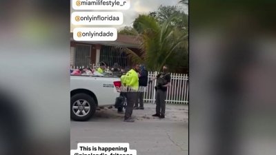 Video shows group of men being detained in apparent ICE raid in Little Havana