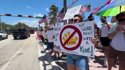 Protestors at Sunrise Blvd. with their flags and posters