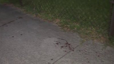 1 hospitalized after being stabbed in the chest in Allapattah: Police