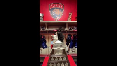 Panthers' Sam Bennett promotes kitten adoptions at Humane Society of Broward County