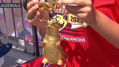Young Florida Panthers fan shows off unique good luck charm