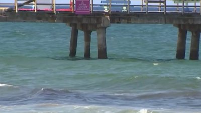 Woman believes she was bitten by shark in Lauderdale-by-the-Sea