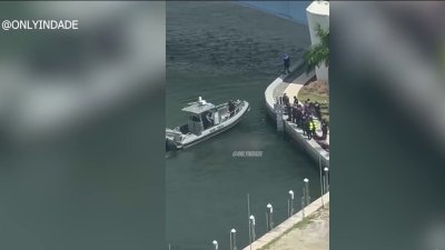 Unconscious woman found floating in Miami River, person detained: Police