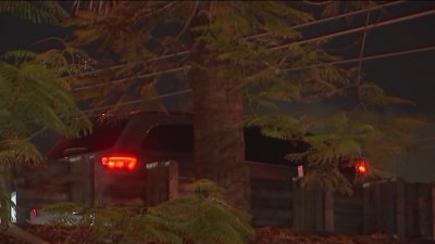 Police search for suspect who shot woman in chest on Palmetto Expressway: FHP