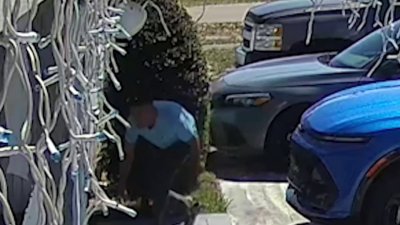 Video shows man sneaking up on ex-mother-in-law and shooting her in head: Cops