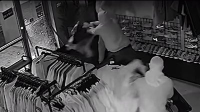 Video shows thieves stealing thousands of dollars of merchandise from Miami sneaker store