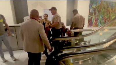 Chaos at Miami-Dade commission meeting over ICE agreement