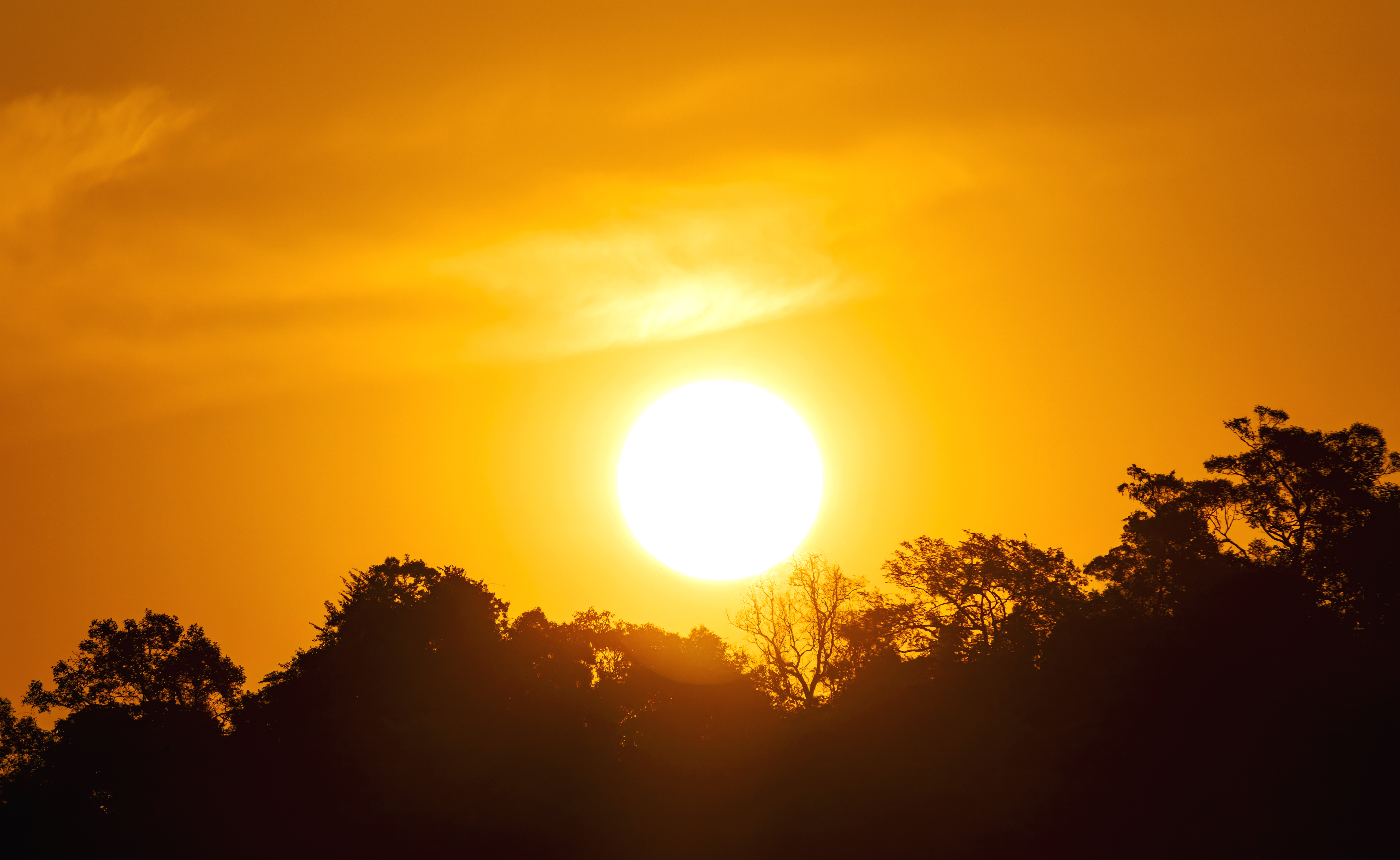 Beat the heat: How to recognize and treat heat stroke