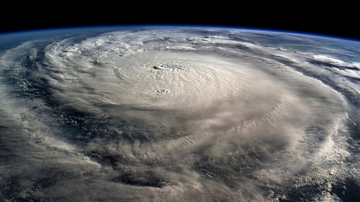 Florida property insurance experts cautiously optimistic ahead of hurricane season