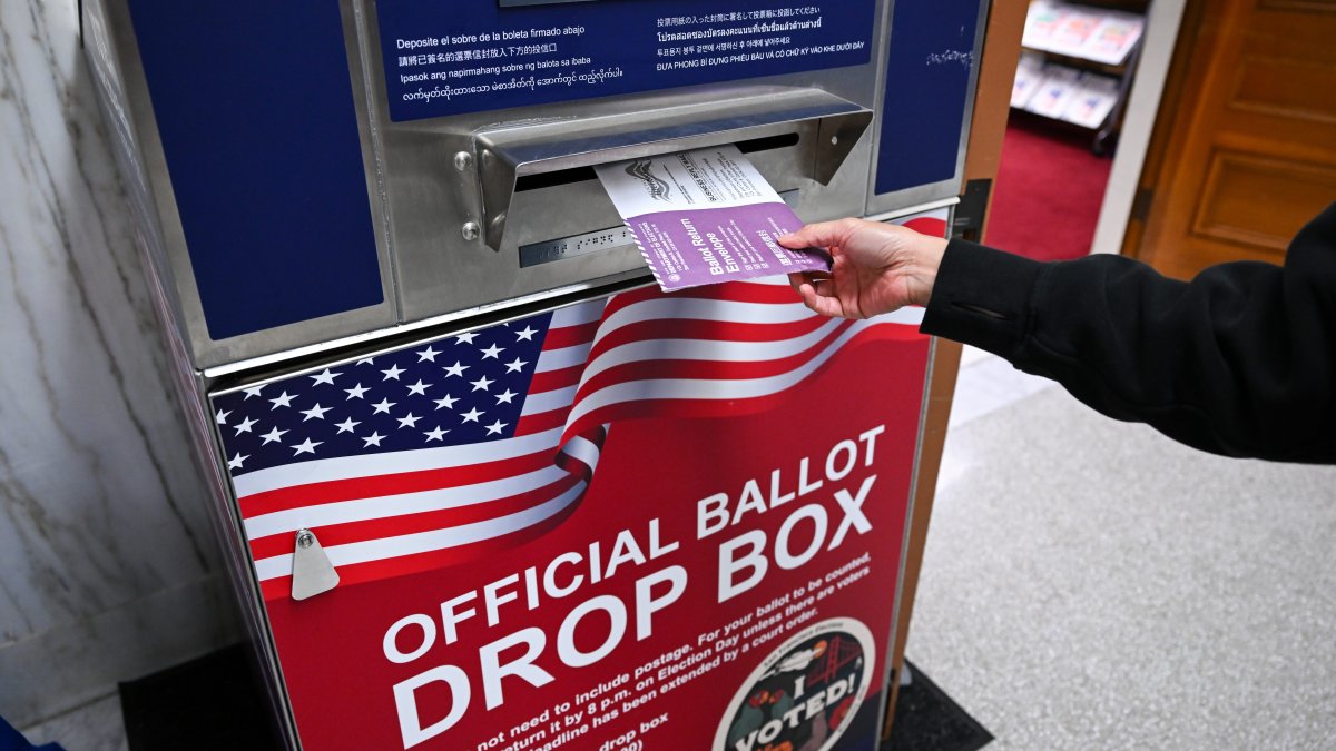 Alternate voting methods remained popular in 2024 election, report shows