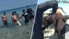 Videos show arrest of man accused of trying to drown dog in ocean at Miami Beach