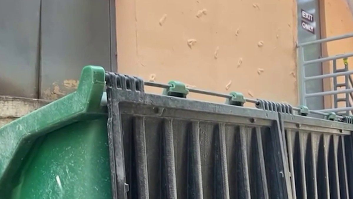 Man accused of killing mother and throwing her body in dumpster – NBC 6 ...