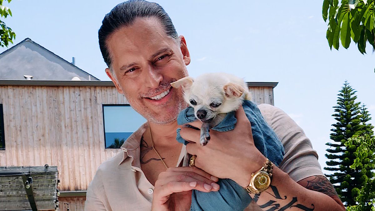 Joe Manganiello will host NBC's Clear The Shelters TV special