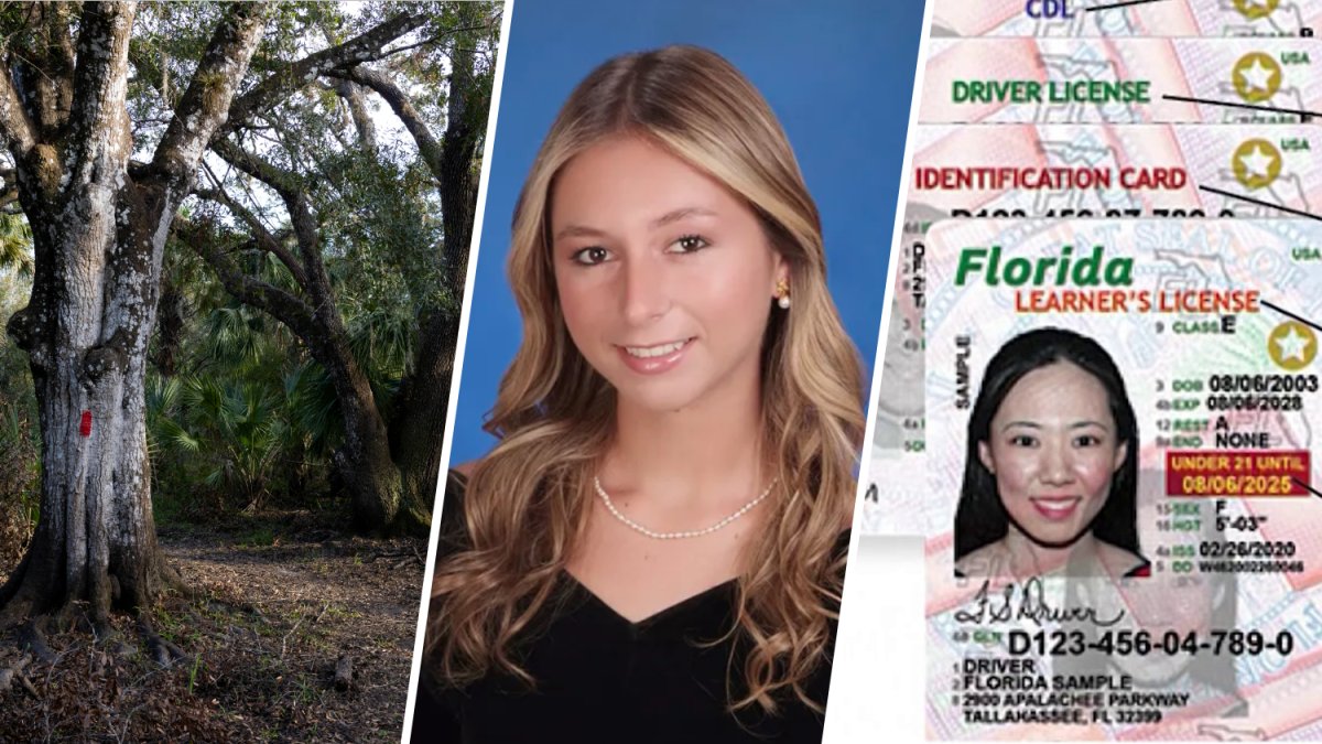 New laws taking effect in Florida on July 1 – NBC 6 South Florida